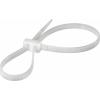 TRU COMPONENTS 1592819, TC-RDCV300203, stahovací pásky, 4.80 mm, 300 mm, přírodní, 1 ks