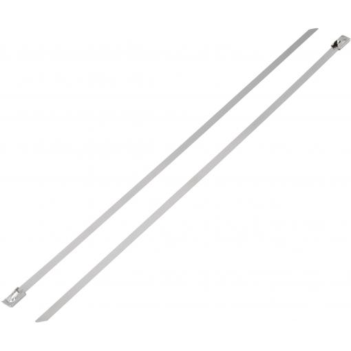 TRU COMPONENTS 1592827, TC-BST-300203, stahovací pásky, 4.60 mm, 300 mm, stříbrná, 1 ks