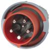 Sygonix SY-6790588 CEE zástrčka, 125 A, 5pólová, 400 V/AC, 1 ks
