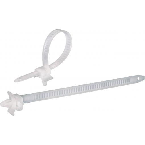 TRU COMPONENTS 1592899, TC-PHV150203, stahovací pásky, 7.90 mm, 150 mm, přírodní, s rozpěrnou kotvou, 100 ks
