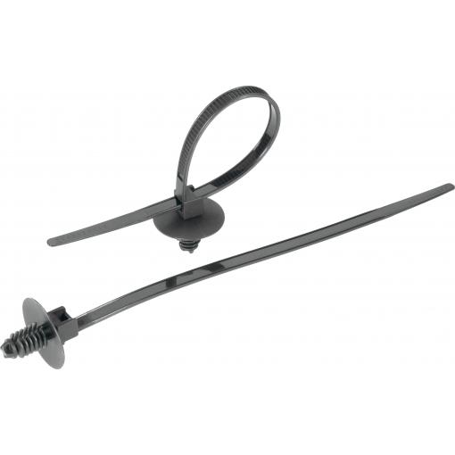 TRU COMPONENTS 1592907, TC-PDV170203, stahovací pásky, 5 mm, 169 mm, přírodní, s rozpěrnou kotvou a talířem, 1 ks