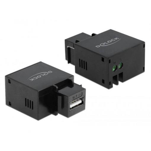 Delock 86506 vestavný modul USB Keystone 1 ks