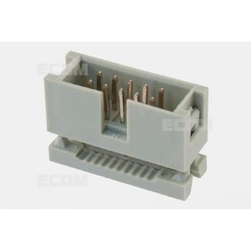 Vidlice DS1015-10NN2A, 2×5 pinů, Au+Ni, rozteč 2,54 mm