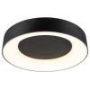 Paulmann 75416 stropní svítidlo 20 W černá (matná)