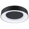 Paulmann 75416 stropní svítidlo 20 W černá (matná)