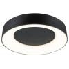 Paulmann 75416 stropní svítidlo 20 W černá (matná)