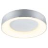 Paulmann 75415 stropní svítidlo 20 W hliník (matný)