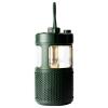 Pure Woodland Glow Green EU/UK/AUS Bluetooth® reproduktor zelená