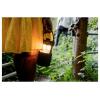 Pure Woodland Glow Green EU/UK/AUS Bluetooth® reproduktor zelená
