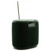 Pure Woodland Mini Green EU/UK/AUS Bluetooth® reproduktor černá, zelená