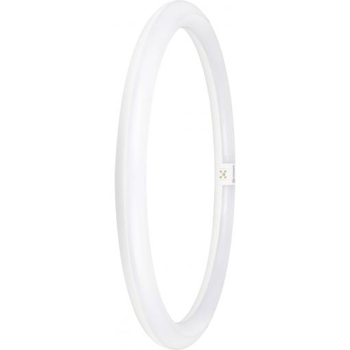 LEDVANCE LED trubice Energetická třída (EEK2021): E (A - G) G10q kulatý tvar KVG 24 W denní bílá (Ø x d) 400.00 mm x 400.00 mm 1 ks