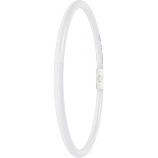 LEDVANCE LED trubice Energetická třída (EEK2021): D (A - G) zářivkový tvar T5 21.5 W neutrální bílá (Ø x d) 16.50 mm x 300.00 mm 1 ks