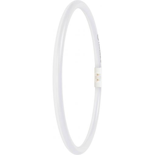 LEDVANCE LED trubice Energetická třída (EEK2021): E (A - G) zářivkový tvar T5 21.5 W teplá bílá (Ø x d) 16.50 mm x 300.00 mm 1 ks