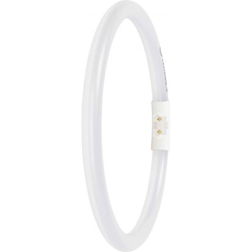 LEDVANCE LED trubice Energetická třída (EEK2021): D (A - G) LED zářivkový tvar T5 11.6 W neutrální bílá (Ø x d) 16.50 mm x 225.00 mm stmívatelná 1 ks