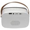 Denver BTM-610 Bluetooth® reproduktor AUX, přenosné, USB