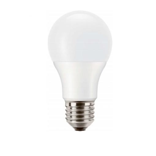 LED žárovka PILA E27 14W, 2700K, A65    P968682