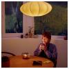 Philips 8720169078901 LED Energetická třída (EEK2021) E (A - G) E27 12.5 W = 100 W teplá až studená bílá stmívatelná 1 ks
