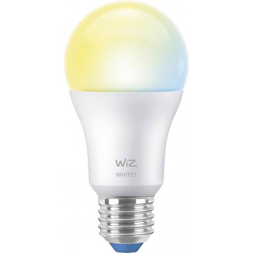 Philips 8720169078901 LED Energetická třída (EEK2021) E (A - G) E27 12.5 W = 100 W teplá až studená bílá stmívatelná 1 ks
