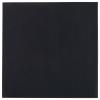Thermal Grizzly Minus Pad Advance teplovodivá podložka nevodivý 1 mm (d x š) 100 mm x 100 mm
