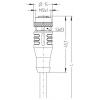 Escha AL-WAKS12-5/S370 připojovací kabel pro senzory - aktory, 8047002, piny: 12, 5.0 m, 1 ks