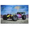 Absima 1:12 EP Buggy Neon Furry 4WD BL RTR nachová střídavý (Brushless) 1:12 RC model auta elektrický Buggy 4WD (4x4) RtR 2,4 GHz vč. akumulátorů a nabíječky