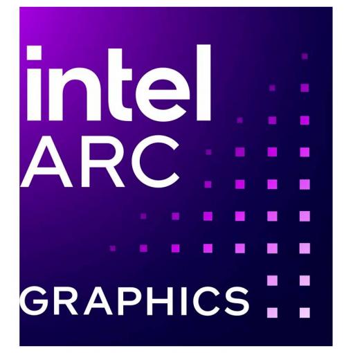 Intel grafická karta Intel Arc™ Pro B50 Intel® Arc™ Pro B50 Graphics 16 GB GDDR6 VRAM PCIe x8 DisplayPort Sopka