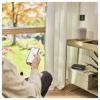 GARDENA 19050-20 smart Pipeline Water Control zavlažovací hodiny