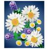 11508 LEGO® ICONS™