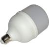 LED žárovka E27 T100, 230 V / 25 W, denní bílá 4000 K