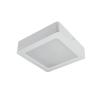 Svítidlo stropní DPM CL9-S-18W-W 18W