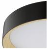 Brilliant G81090/76 Deckenleuchte LED 39cm stropní svítidlo dřevo (světlé), černá