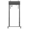 Iiyama Pojízdný vozík na PC/monitor Iiyama MD-CAR2031-B1 - Wagen - Doppelsäu 1 Displej: (s) 139,7 cm (55) - 267,0 cm (105) černá nastavitelná výška,