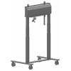 Iiyama Pojízdný vozík na PC/monitor Iiyama MD-CAR2031-B1 - Wagen - Doppelsäu 1 Displej: (s) 139,7 cm (55) - 267,0 cm (105) černá nastavitelná výška,