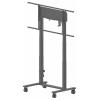 Iiyama Pojízdný vozík na PC/monitor Iiyama MD-CAR2031-B1 - Wagen - Doppelsäu 1 Displej: (s) 139,7 cm (55) - 267,0 cm (105) černá nastavitelná výška,