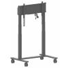 Iiyama Pojízdný vozík na PC/monitor Iiyama MD-CAR2031-B1 - Wagen - Doppelsäu 1 Displej: (s) 139,7 cm (55) - 267,0 cm (105) černá nastavitelná výška,