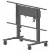 Iiyama Pojízdný vozík na PC/monitor Iiyama MD-CAR2031-B1 - Wagen - Doppelsäu 1 Displej: (s) 139,7 cm (55) - 267,0 cm (105) černá nastavitelná výška,
