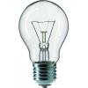 Žárovka TECHLAMP 100W E27 240V A55