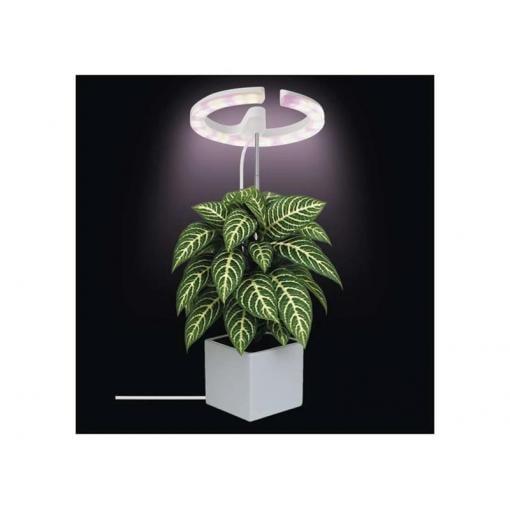 Lampa pěstební EMOS Z7902 Grow 8W