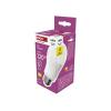 Žárovka LED E27 14W Classic A60 bílá přírodní EMOS ZQ5D76