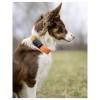 MiniFinder Atto Pro GPS tracker lokalizace domácích zvířat, LIVE Tracking černá 1 ks