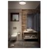 OSRAM HOMELIGHTING 4099854621468 stropní svítidlo, LED stropní svítidlo LED černá