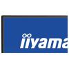 Iiyama ProLite LED monitor 68.6 cm (27 palec)2560 x 1440 Pixel, 16:9, 3 ms, IPS LED
