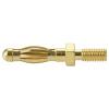 TRU COMPONENTS MP-50 banánek spojka, rovná Ø pin: 4 mm žluto-zlatá 1 ks Bulk