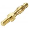 TRU COMPONENTS MP-50 banánek spojka, rovná Ø pin: 4 mm žluto-zlatá 1 ks Bulk
