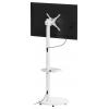 Reflecta TV Stand 43P-2020T weiß TV stojan 43,2 cm (17) - 109,2 cm (43) naklápěcí, nakláněcí, otočný, nastavitelná výška polička na zařízení