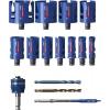 Bosch Accessories 2608901950 2608901950 vrtací korunka 1 ks