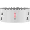 Bosch Accessories 2608594601 2608594601 vrtací korunka 98 mm 1 ks