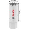 Bosch Accessories 2608594561 2608594561 vrtací korunka 19 mm 1 ks
