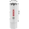 Bosch Accessories 2608594560 2608594560 vrtací korunka 17 mm 1 ks