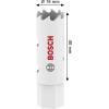 Bosch Accessories 2608594559 2608594559 vrtací korunka 16 mm 1 ks